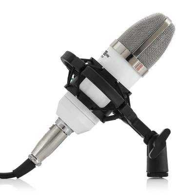 (Renewed) Powerpak BM-700 Professional Large Diaphragm Studio Recording Microphone (White)