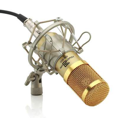 (Renewed) Powerpak BM-800 Silica Gel Professional Condenser Microphone with Metal Shock Mount (Gold)