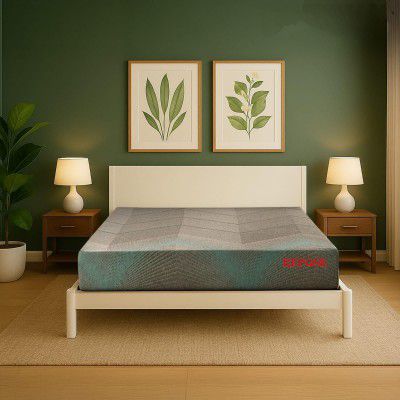 Repose Eyelidz Spine Pro Orthopaedic Memory Foam Mattress (Queen, 75X66X6)