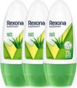 Rexona Aloe Vera Underarm Roll On Deodorant (150 ml, Pack of 3)...