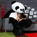 RIDDHI 3 Feet Very Cute Long Soft Hug gable American Style Teddy Bear Best For Gift - 36 Inch - - 90 cm - 90 cm  (Black, White)...