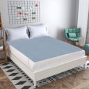 Rite Clique Fitted King, Double, Queen Size Waterproof Mattress Cover  (Blue)...