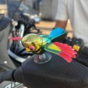 RLYBL Flying Bird Car & Bike Decoration with Flapping Wings (Multicolor, Pack of 1)...