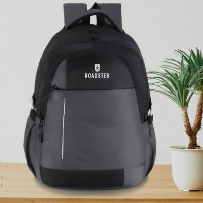 Roadster Large 35 L Laptop Backpack For College School Travel Office Backpack For Men & Women  (Grey)