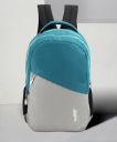 Roadster Large 38 L Laptop Backpack Large Historage Travel / Office / School (Blue, Grey)...