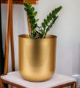 Rose Bowl Round Gold Metal Desk Pot...