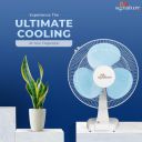 RR Signature 400 MM Zello Normal Speed Table Fan...