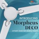 RR Signature MORPHEUS DECO 1S 1200 MM Ceiling Fan | 2 Year Warranty [White]...