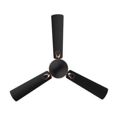 RR Signature Triana 1200MM 2 Star Ceiling Fan