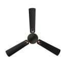 RR Signature Triana 1200MM 2 Star Ceiling Fan...