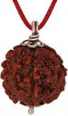 RUDRA UNIVERSE  5 mukhi rudraksha Wood Pendant...