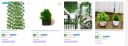 Ryme Artificial Plants Upto 87% Off Starting At ₹75...