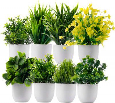 Ryme Mini/Small Green Wild Flower Artificial Flower with Pot  (6 inch, Pack of 8, Flower Bunch)