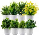 Ryme Mini/Small Green Wild Flower Artificial Flower with Pot  (6 inch, Pack of 8, Flower Bunch)...