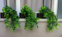 Ryme PackOf 3 Falling Bonsai Wild Artificial Plant  with Pot (10 cm, Green)...