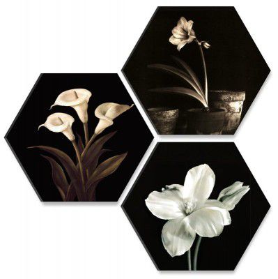 SAF Flower Pot UV Textured MDF Set of 3 Hexagon Painting 17 Inch X 17 Inch HX131