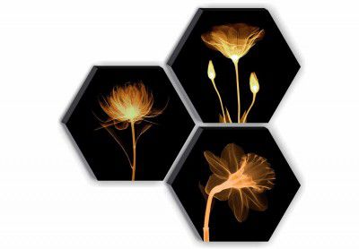 SAF Set of 3 Hexagon Preety Brown Flower UV Textured MDF Home Decorative Gift Item Painting 17 Inch X 17 Inch SANFHX15SMALL