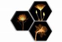SAF Set of 3 Hexagon Preety Brown Flower UV Textured MDF Home Decorative Gift Item Painting 17 Inch X 17 Inch SANFHX15SMALL...