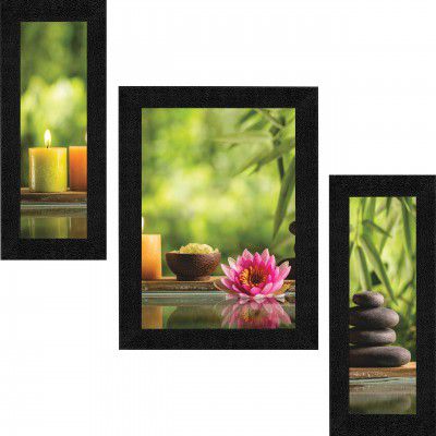 SAF Synthetic Landscapes Framed Painting, Lotus, 22.5 x 13.5 inch-Multicolour SANFSA9187