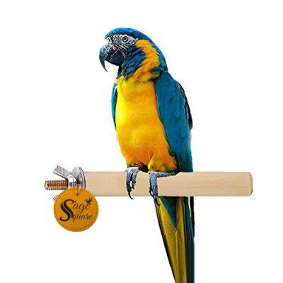 Sage Square 15 Inches/48 cm Natural Wood Perch/Stand/Toy for Cockatoo, Amazon, Macaw and African Grey (Light Weight)