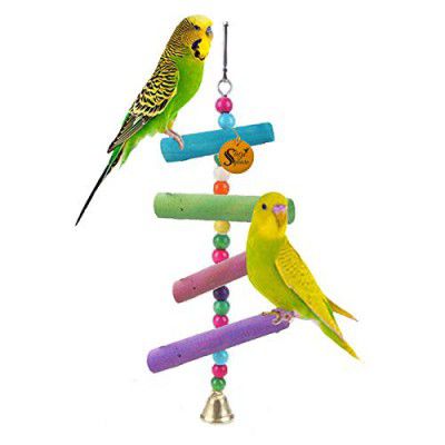 Sage Square Bird Playful Cage Accessories (Bird Hanging Color)