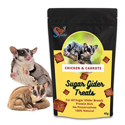 Sage Square Chicken & Carrot Sugar Glider Treat, Crunchy Protein Rich Snack (45g)