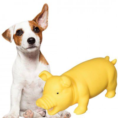 Sage Square Squeaky Rubber Pig Toy for Dogs & Cats