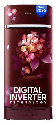 Samsung 189 L, 4 Star, Digital Inverter, Direct-Cool Single Door Refrigerator (RR21H2H24HT/HL)