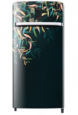 Samsung 198 L 3 Star Inverter Direct cool Single Door Refrigerator (RR21A2E2YTG/HL)