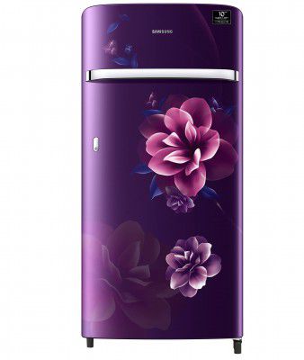 Samsung 198 L 3 Star Inverter Direct cool Single Door Refrigerator (RR21A2G2YCR/HL)