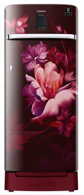 Samsung 220 L 4 Star Inverter Direct cool Single Door Refrigerator (RR23A2K3XRZ/HL)