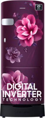 [Extra Rs 3000 Off] SAMSUNG 223 L Direct Cool Single Door 3 Star Refrigerator with Base Drawer with Digital Inverter  (Camellia Purple, RR24C2Z23CR/NL)