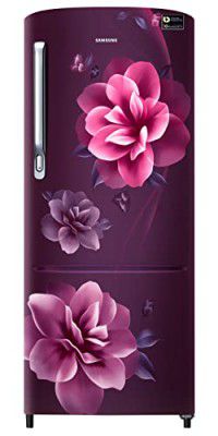 Samsung 223L 3 Star Inverter Direct-Cool Single Door Refrigerator (RR24C2723CR/NL)