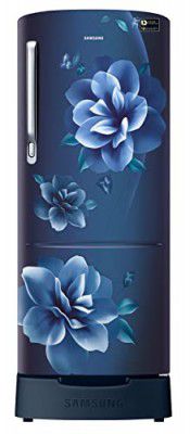 Samsung 223L 3 Star Inverter Direct-Cool Single Door Refrigerator (RR24C2823CU/NL)
