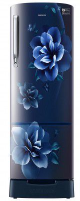 Samsung 225 L 3 Star Inverter Direct cool Single Door Refrigerator (RR26A389YCU/HL)