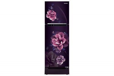 Samsung 236 L, 2 Star, Digital Inverter, Frost Free Double Door Refrigerator (RT28C3122CR/HL, Camellia Purple, Base Stand Drawer)