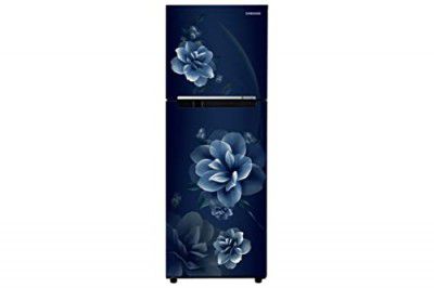 Samsung 236 L, 2 Star, Digital Inverter, Frost Free Double Door Refrigerator (RT28C3022CU/HL, Camellia Blue)