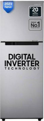 SAMSUNG 236 L Frost Free Double Door 2 Star Refrigerator (RT28C3032GS/HL)