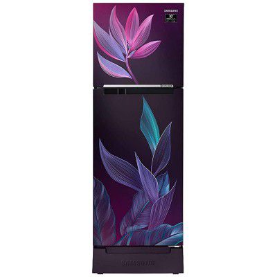 Samsung 253 Litres 2 Star Frost Free Digital Inverter Double Door Refrigerator (RT28T31429R/HL)