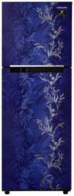 Samsung 253 L 2 Star Inverter Frost-Free Double Door Refrigerator (RT28T30226U/NL)