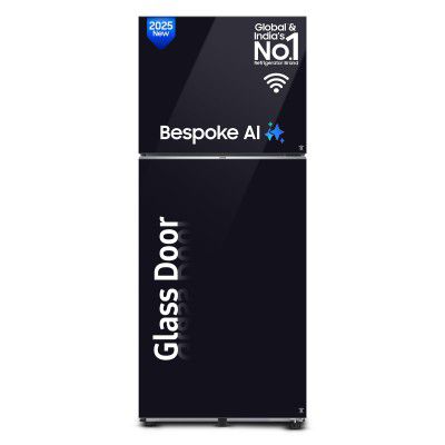 Samsung 396 L, 2 Star, Convertible 5-in-1, Frost Free Double Door Refrigerator (RT41DB6A4B22HL)
