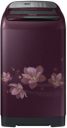 SAMSUNG 6.5 kg Fully Automatic Top Load (WA65M4020HP/TL 01)...
