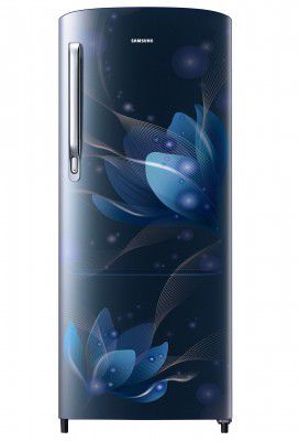 Samsung 192 L 2 Star Direct Cool Single Door Refrigerator (RR20A271BU8/NL)