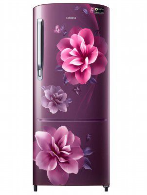 Samsung 192 L 3 Star Inverter Direct Cool Single Door Refrigerator (RR20A272YCR/NL)