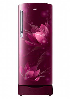 Samsung 192 L 2 Star Direct Cool Single Door Refrigerator (RR20A281BR8/NL)