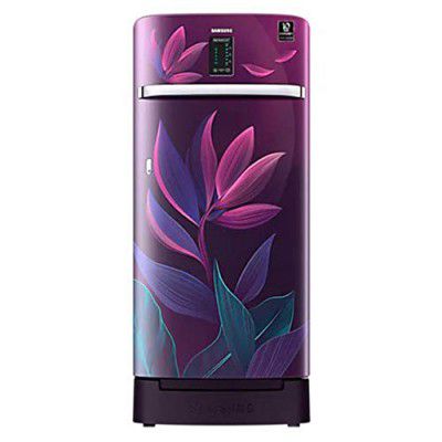 Samsung 198 L 4 Star Inverter Direct Cool Single Door Refrigerator (RR21A2F2X9R/HL)