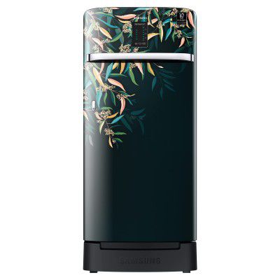 Samsung 198 L 3 Star Inverter Direct Cool Single Door Refrigerator (RR21A2F2YTG/HL)