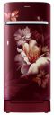 Samsung 198L 5 Star Direct Cool Single Door Digital Inverter Refrigerator (RR21B2H2WRZ/HL)...