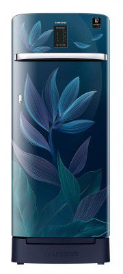 Samsung 225 L 3 Star Inverter Direct Cool Single Door Refrigerator (RR23A2F2Y9U/HL)