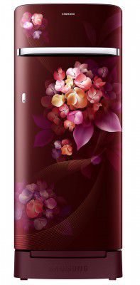 Samsung 225L 4 Star Direct Cool Single Door Digital Inverter Refrigerator (RR23B2H2XHT/HL)